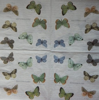 Ubrousky 33 x 33 cm Motýlci