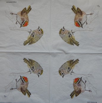 Ubrousky 33 x 33 cm Ptáčci na větvičce