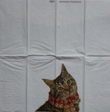 Kapesníčky IHR Kočka v šále
