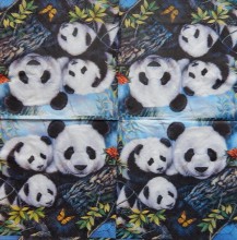Ubrousky 33 x 33 cm Panda 