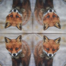 Ubrousky 33 x 33 cm Fox