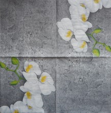 Ubrousky 33 x 33 cm Bílá orchidej