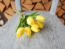 Tulipány žluté 7 květů 28 cm