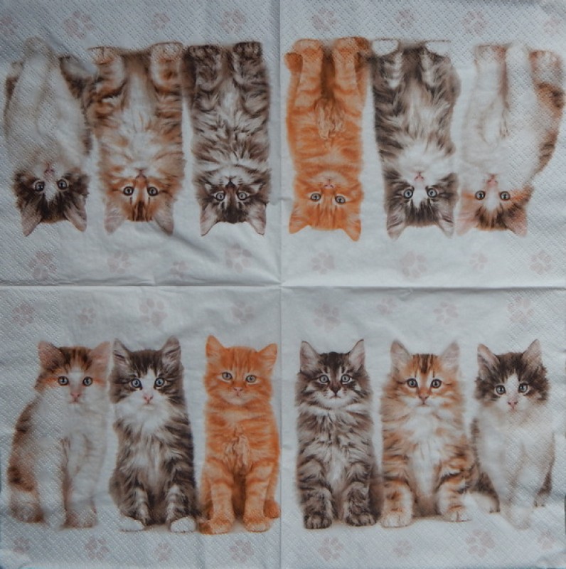 Ubrousky 33 x 33 cm Tři krásné kočičky